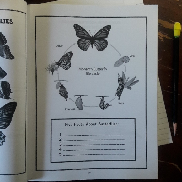 Homeschool Nature Study/Science Journal - Picture 4 of 12